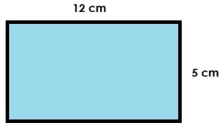 A rectangle to find the area.