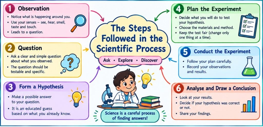 Steps followed in the scientific process
